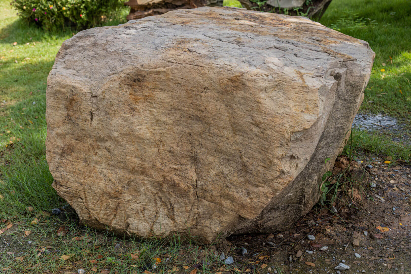 Large rock on grassy area outdoors.
