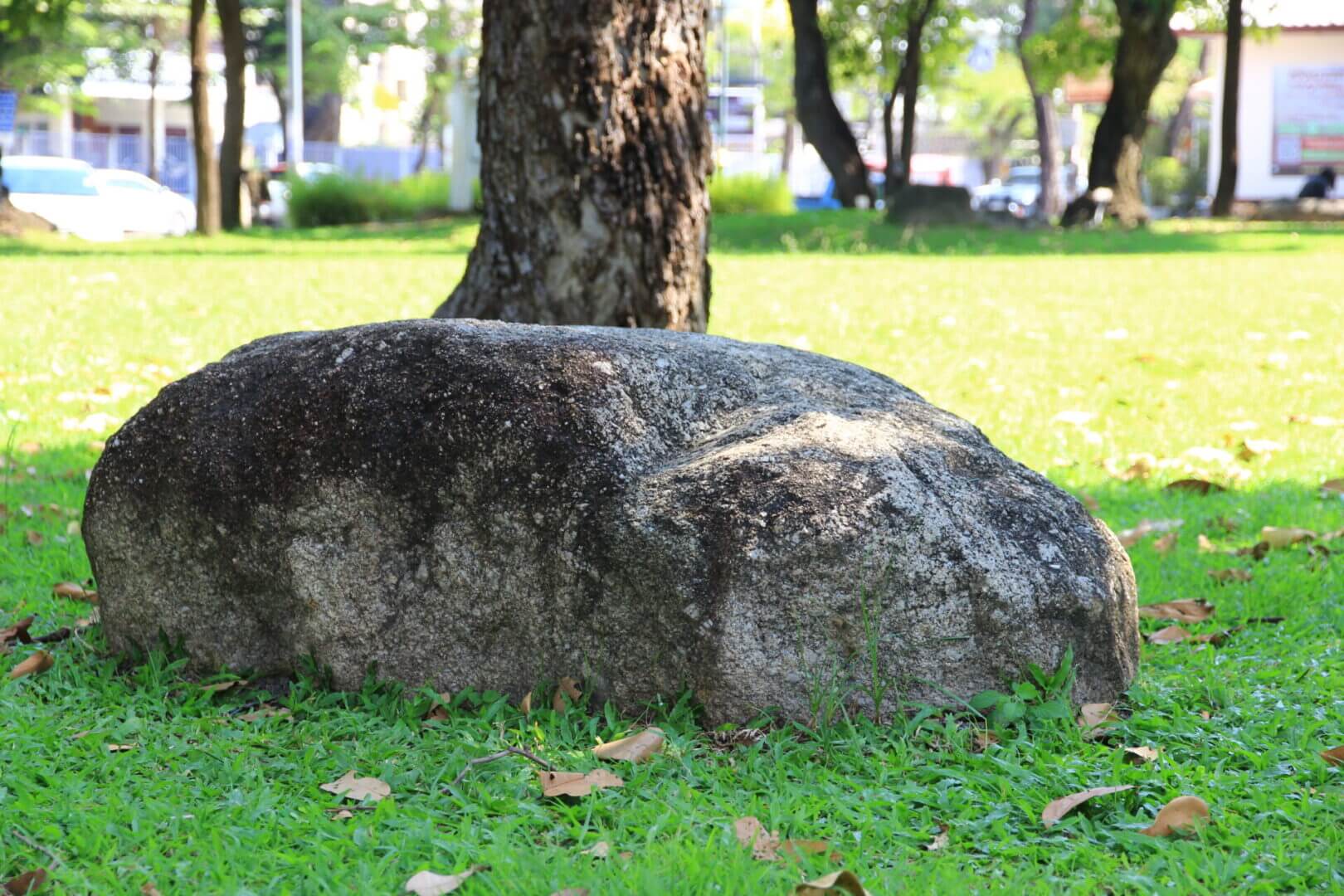 Large rock on grassy park area.