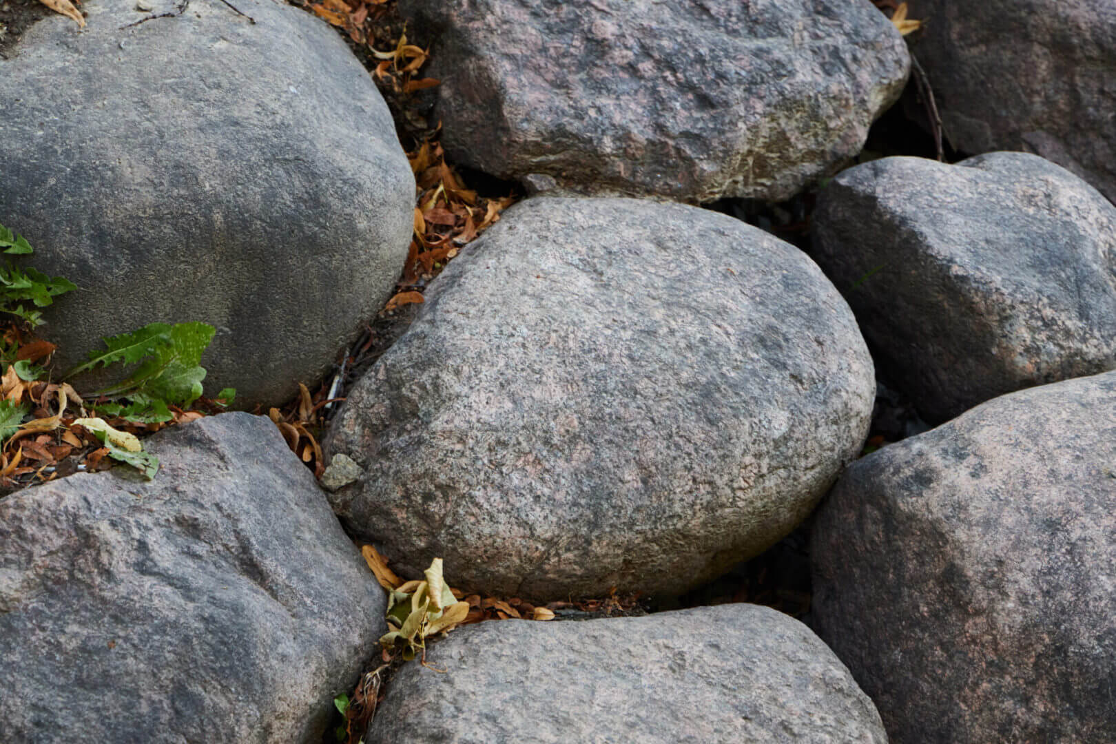 Gray stones with scattered green leaves.